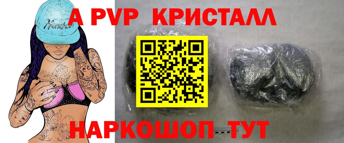 A PVP СК КРИС Искитим