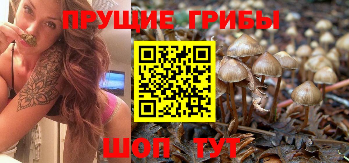 Галлюциногенные грибы Cubensis Искитим