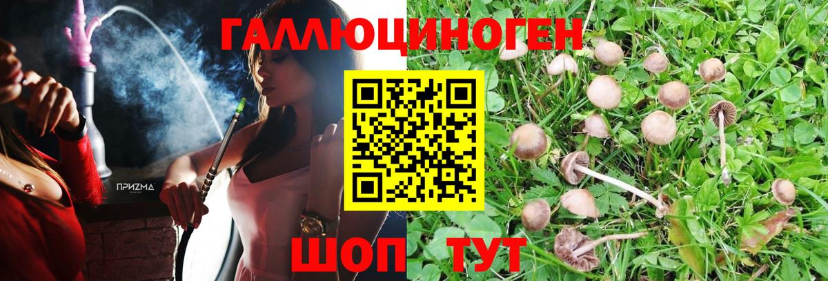 Псилоцибиновые грибы Magic Shrooms  Вход с VPN  Псилоцибиновые грибы мухоморы  Искитим 